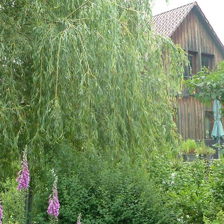 Ferienwohnung Lotti Brotterode Pokój zdjęcie