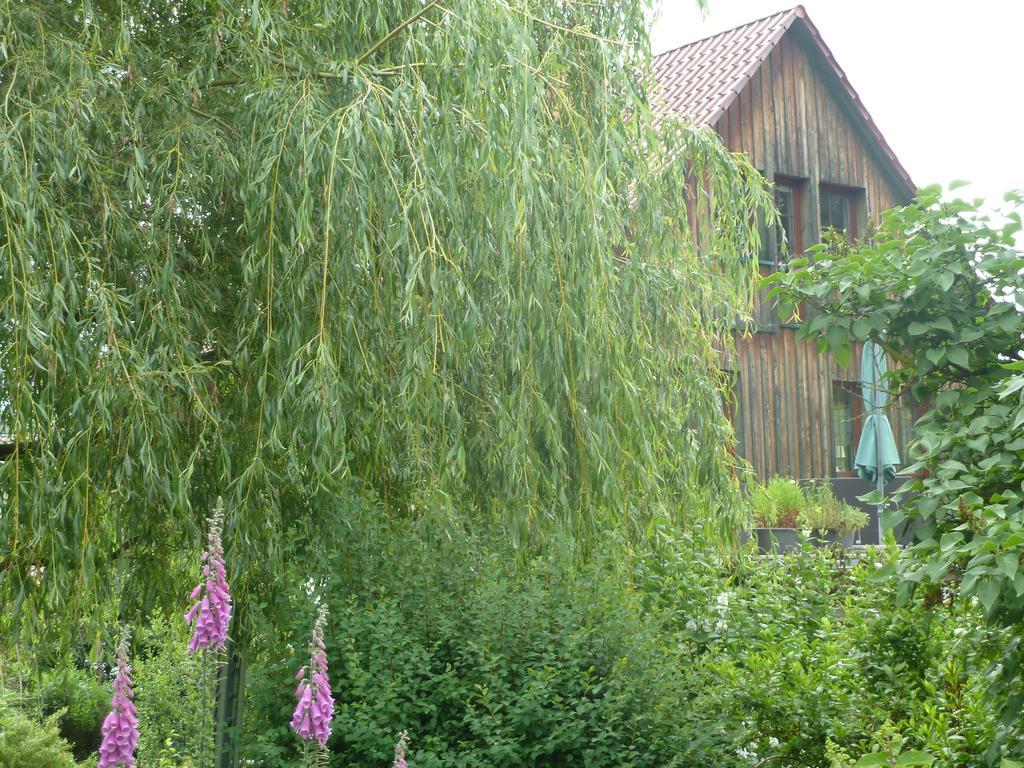 Ferienwohnung Lotti Brotterode Pokój zdjęcie
