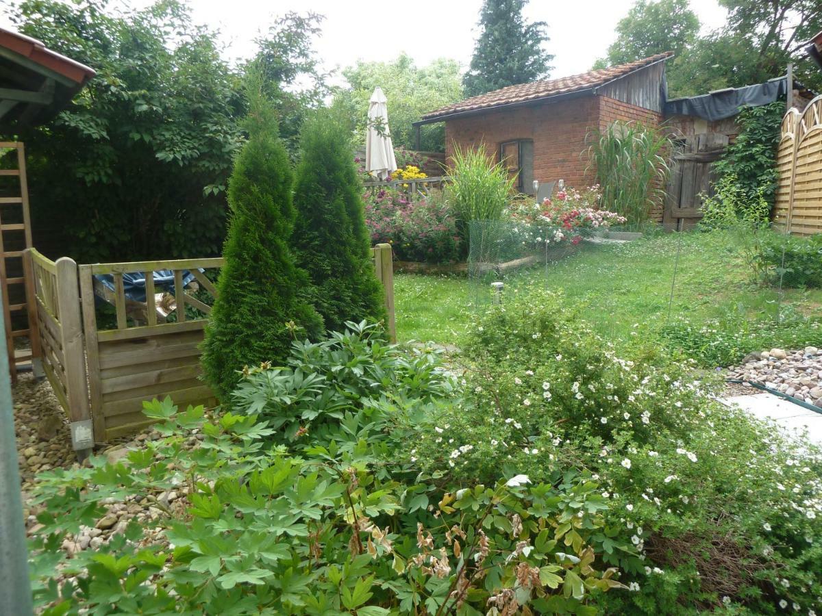 Ferienwohnung Lotti Brotterode Zewnętrze zdjęcie
