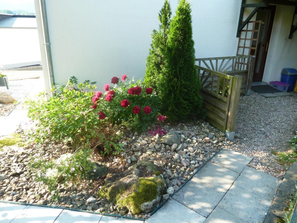 Ferienwohnung Lotti Brotterode Zewnętrze zdjęcie